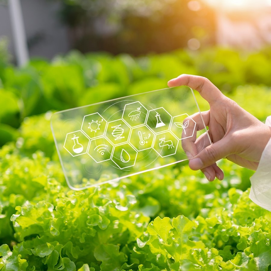 A hand holding a transparent digital tablet displaying icons related to sustainable farming and smart agriculture technologies, set against a backdrop of lush green lettuce leaves.