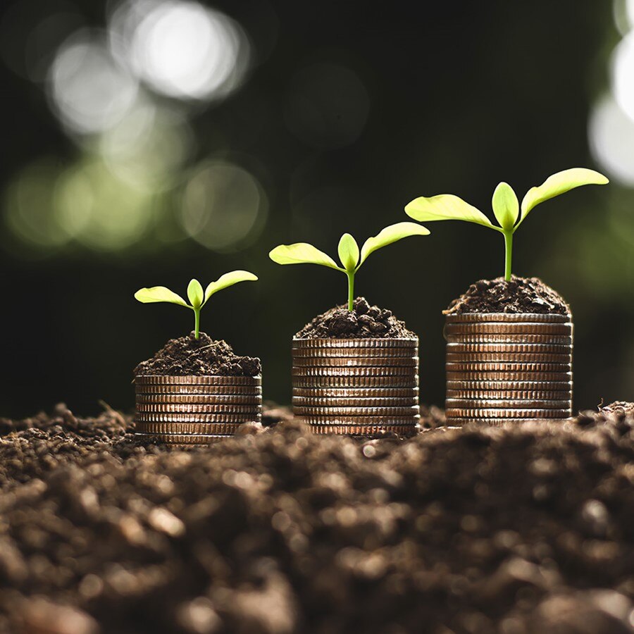 Three stacks of coins with young plants sprouting from the top, placed on soil, symbolizing financial growth and investment over time.
