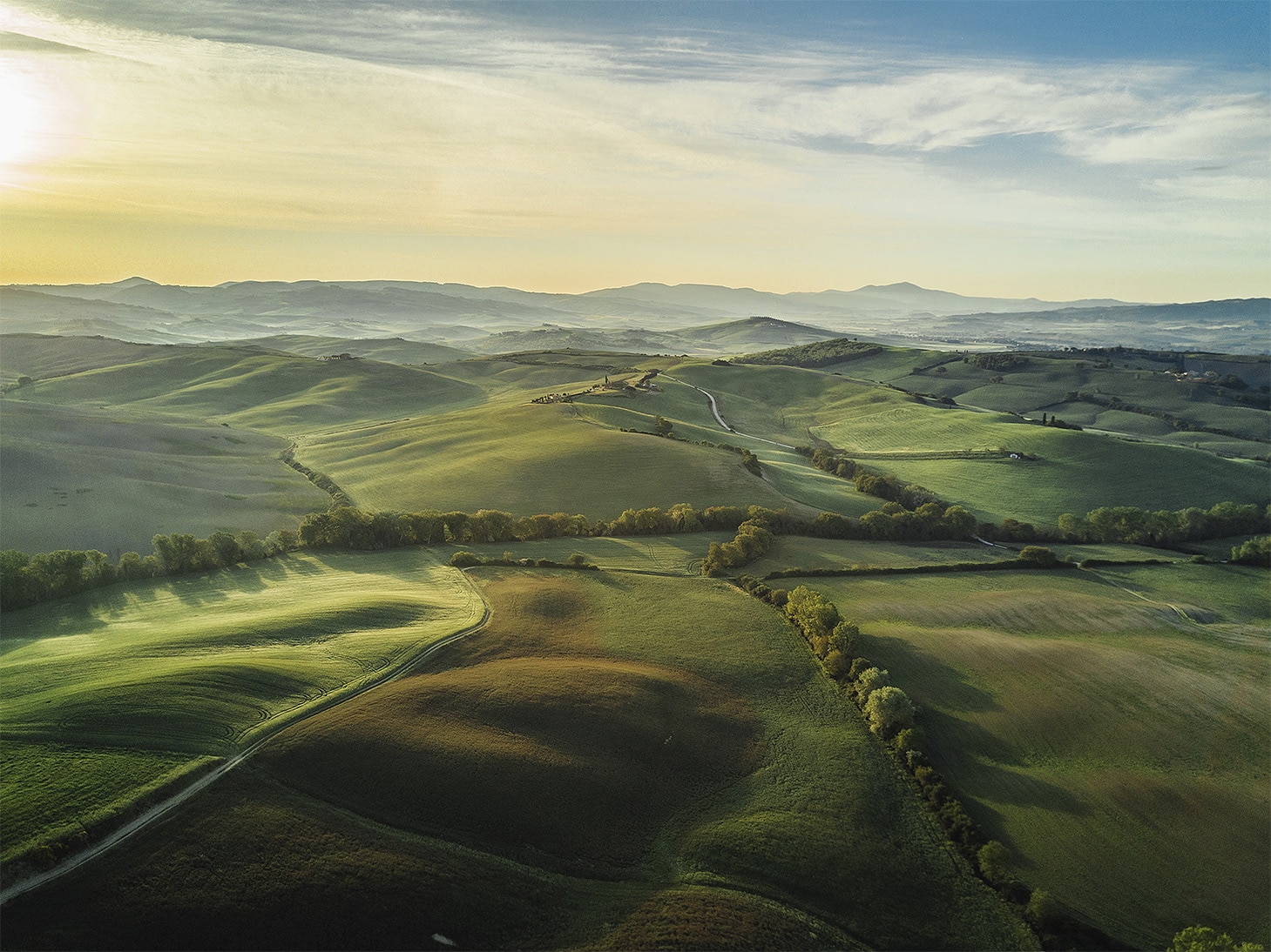A vast, rolling landscape with gentle hills and fields, bathed in soft golden light, emphasizing themes of sustainability and the balance between agriculture and nature.